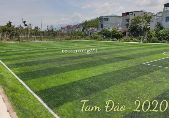Dự án sân bóng tại Tam Đảo - Cỏ Nhân Tạo AFD - Công Ty Cổ Phần Kiến Trúc AFD Việt Nam